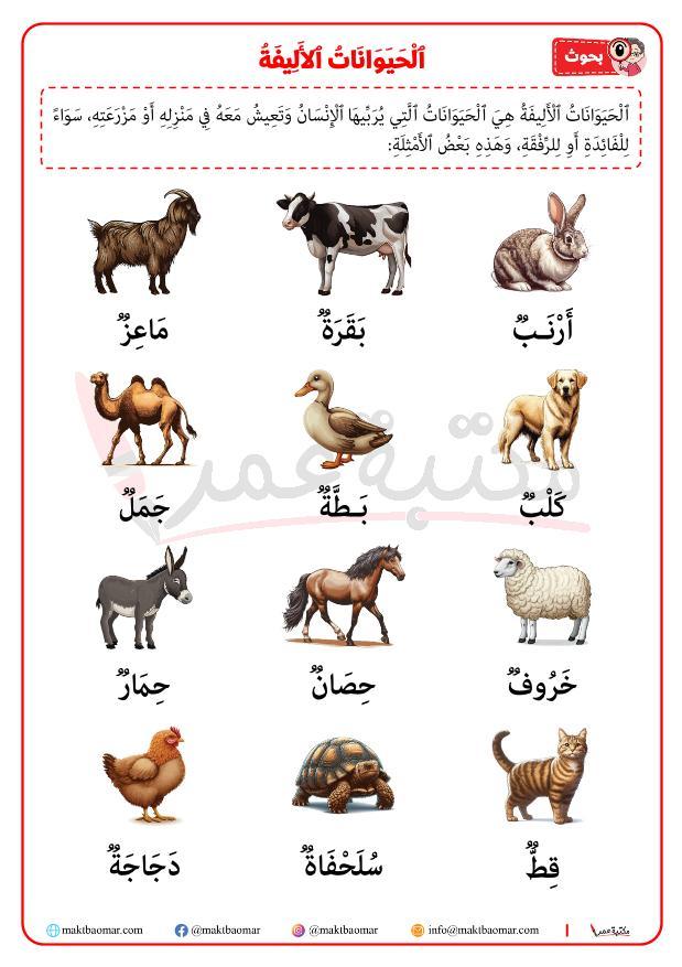 استراتيجيات لتحديد مواقع الحيوان في الطبيعة
