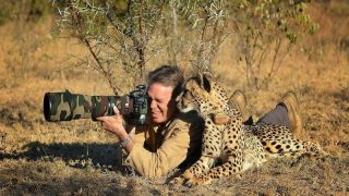 نصائح لتصوير الحياة البرية: دليل للمصورين المبتدئين