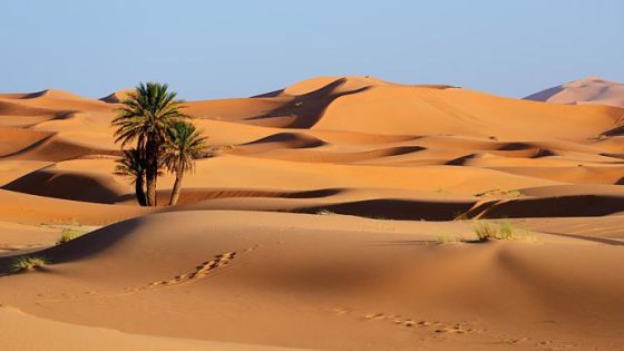 أفضل وجهات الصحاري لتجربة سفر فريدة ومُلهمة