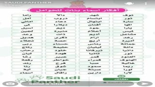 العلاقة المدهشة بين الأسماء العربية وعلم الأرقام