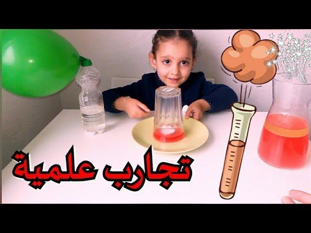 دور التجارب العلمية في كشف لغات الحيوان