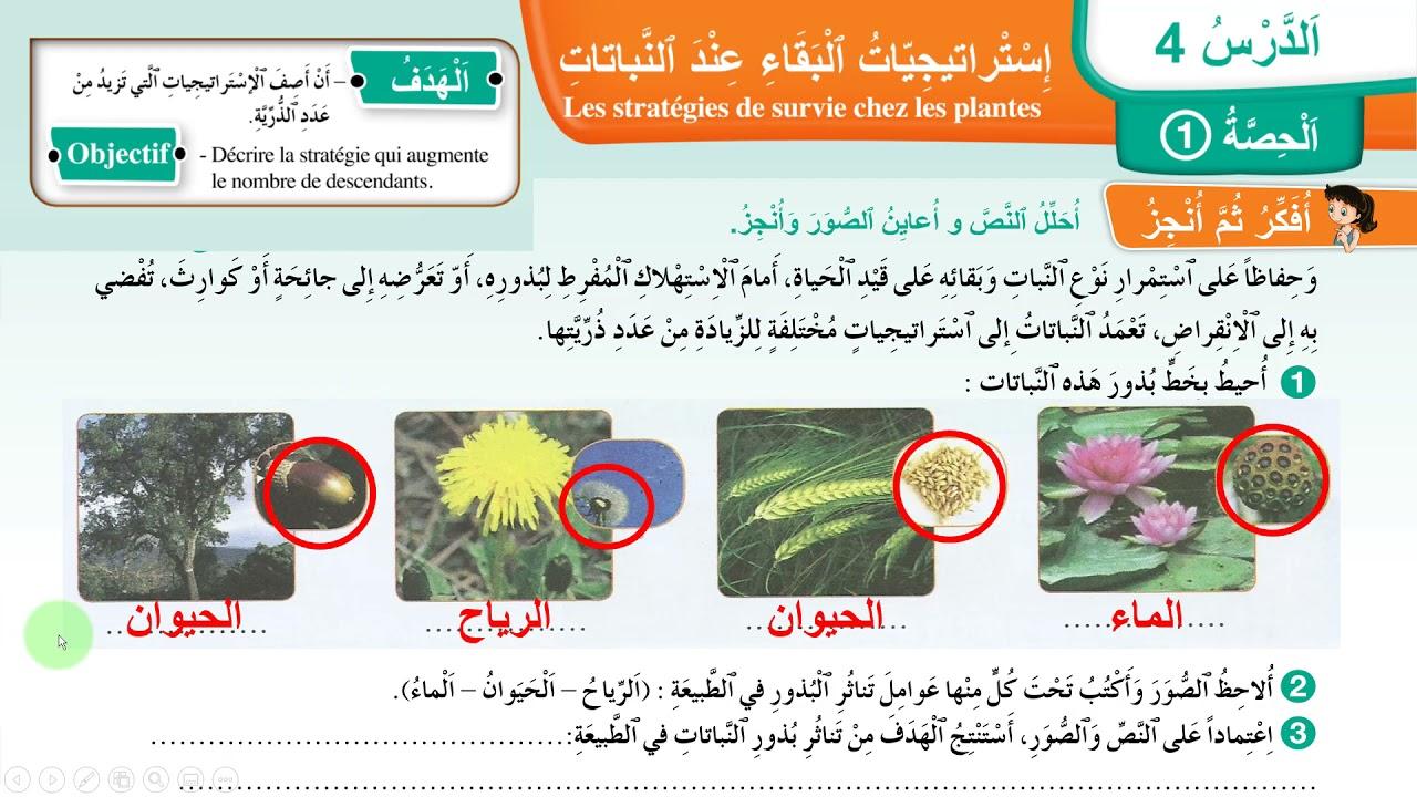 استراتيجيات البقاء: طرق الحيوانات في التكيف مع البيئات الحضرية