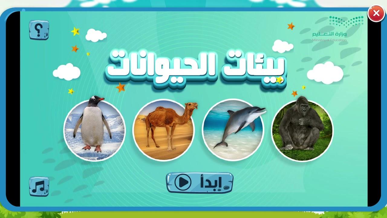 حيوانات البيئة ودورها في التوازن الإيكولوجي