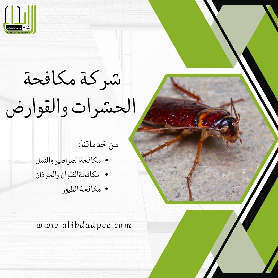 استراتيجيات فعالة لسد الثغرات ومنع دخول الحشرات