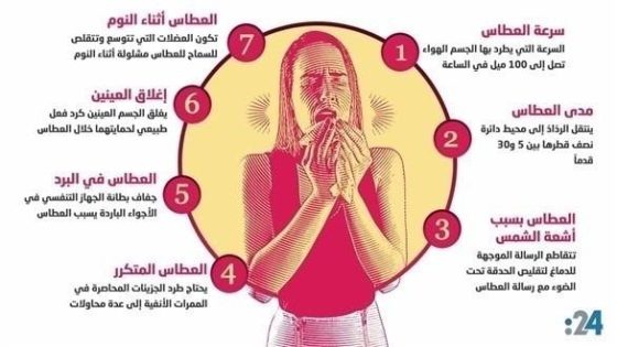حقائق غريبة عن المعالم الشهيرة: ستدهشك أن تعرفها!
