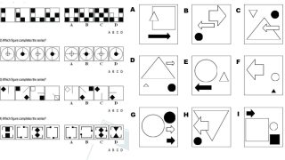 من الذكاء إلى الشطارة: كيف تغيرت اختبارات الذكاء؟