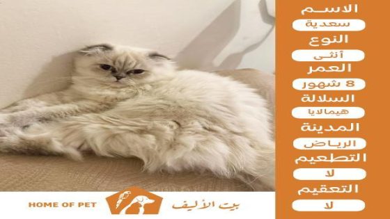 تبني الحيوانات الأليفة: عوامل يجب أخذها في الاعتبار