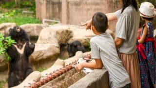 الحيوانات التي تأقلمت مع البيئات الحضرية الحديثة