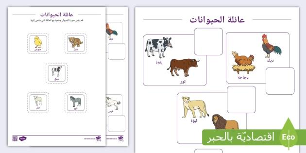 أهمية الحيوانات ​الصغيرة في التنوع البيولوجي ​وأثرها على البيئة