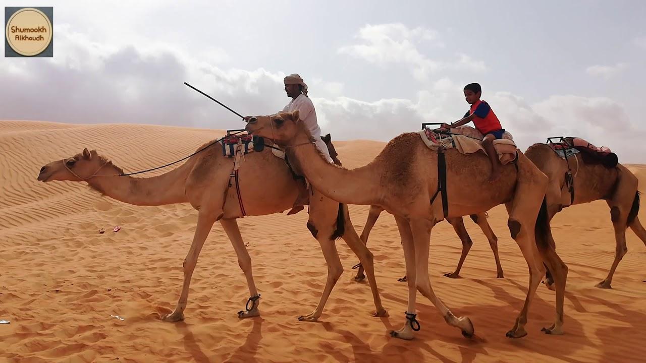 جمال الصحراء: اكتشاف أسرار الرمال في الخليج العربي