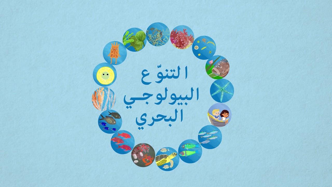 أهمية التنوع البيولوجي البحري ودوره في النظام البيئي