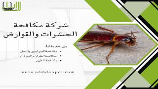 أفضل الطرق لمنع الحشرات من دخول مطبخك المنزلي